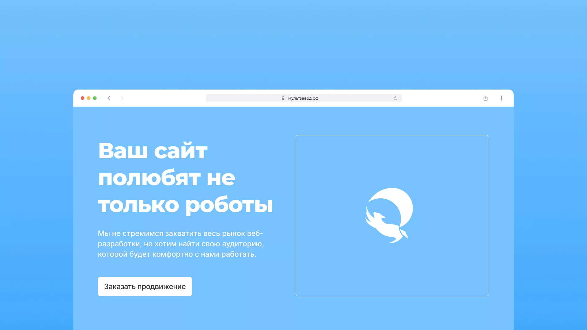 Продвижение сайтов в Михайловке Продвижение сайтов в Михайловке