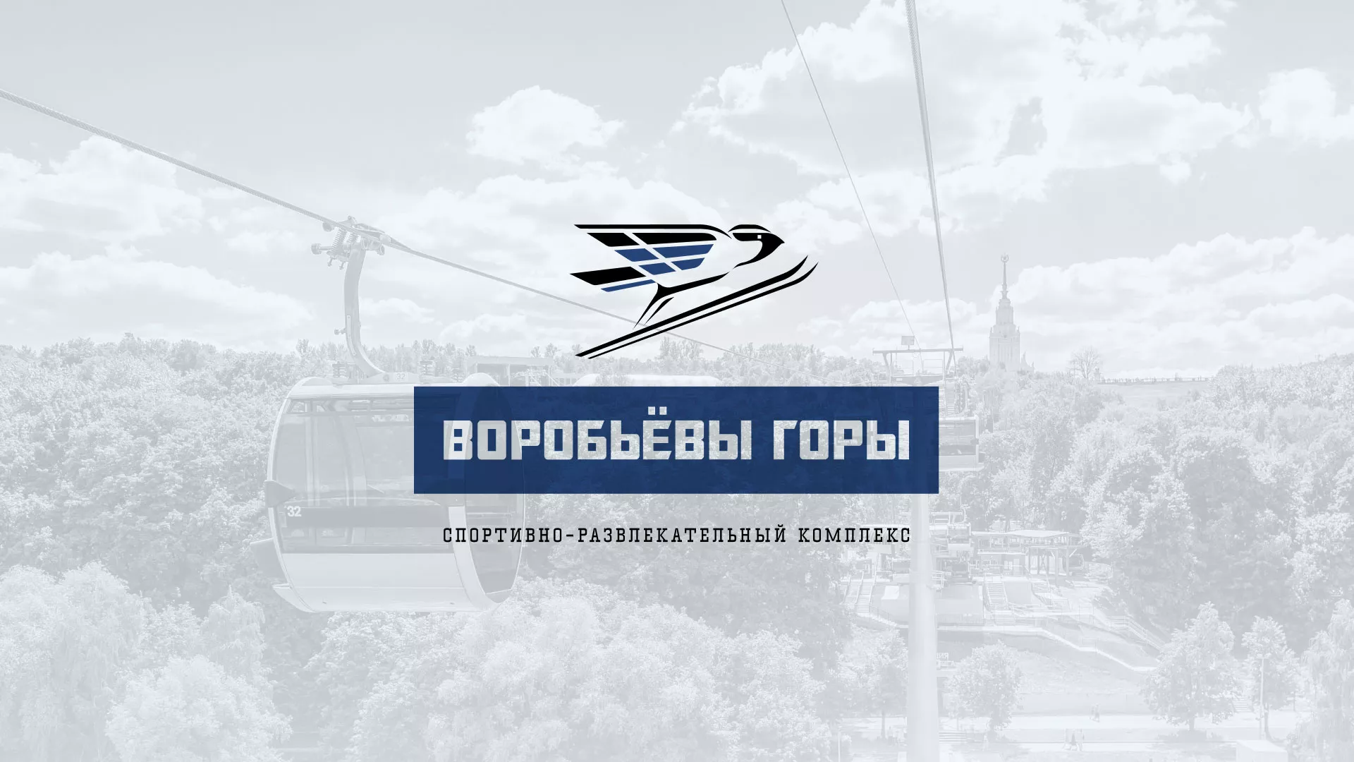 Разработка сайта в Михайловке для спортивно-развлекательного комплекса «Воробьёвы горы»