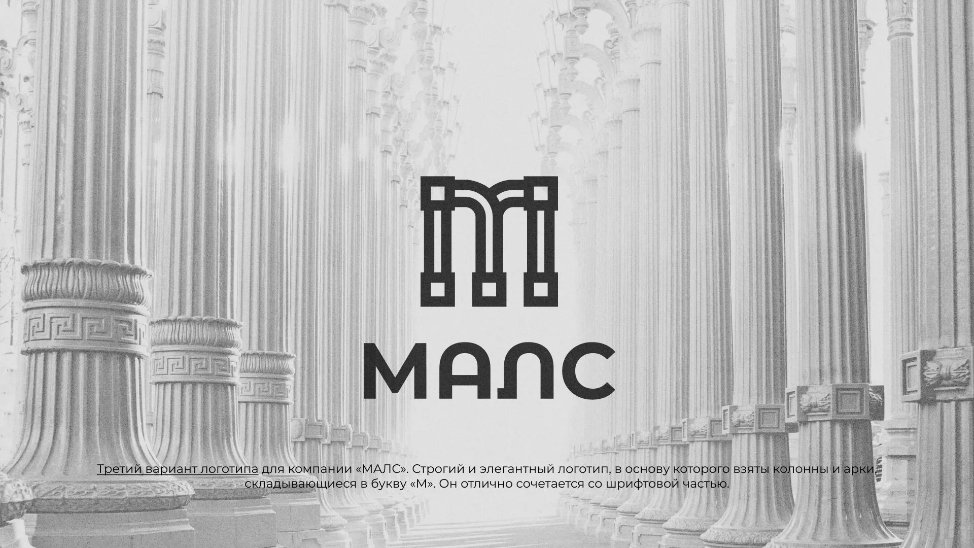 Разработка логотипа компании «МАЛС» в Михайловке