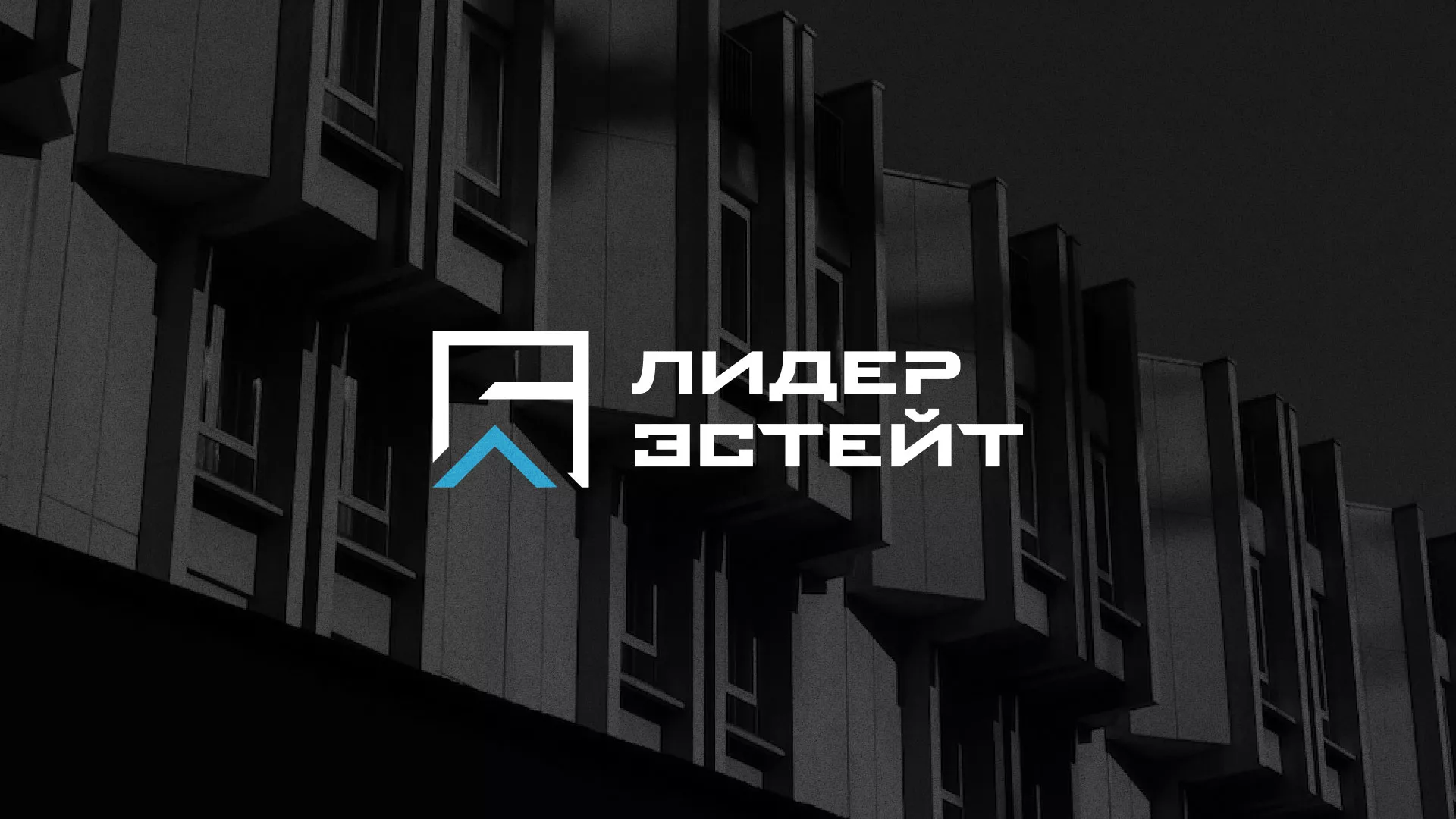 Разработка логотипа агентства недвижимости «Лидер Эстейт» в Михайловке